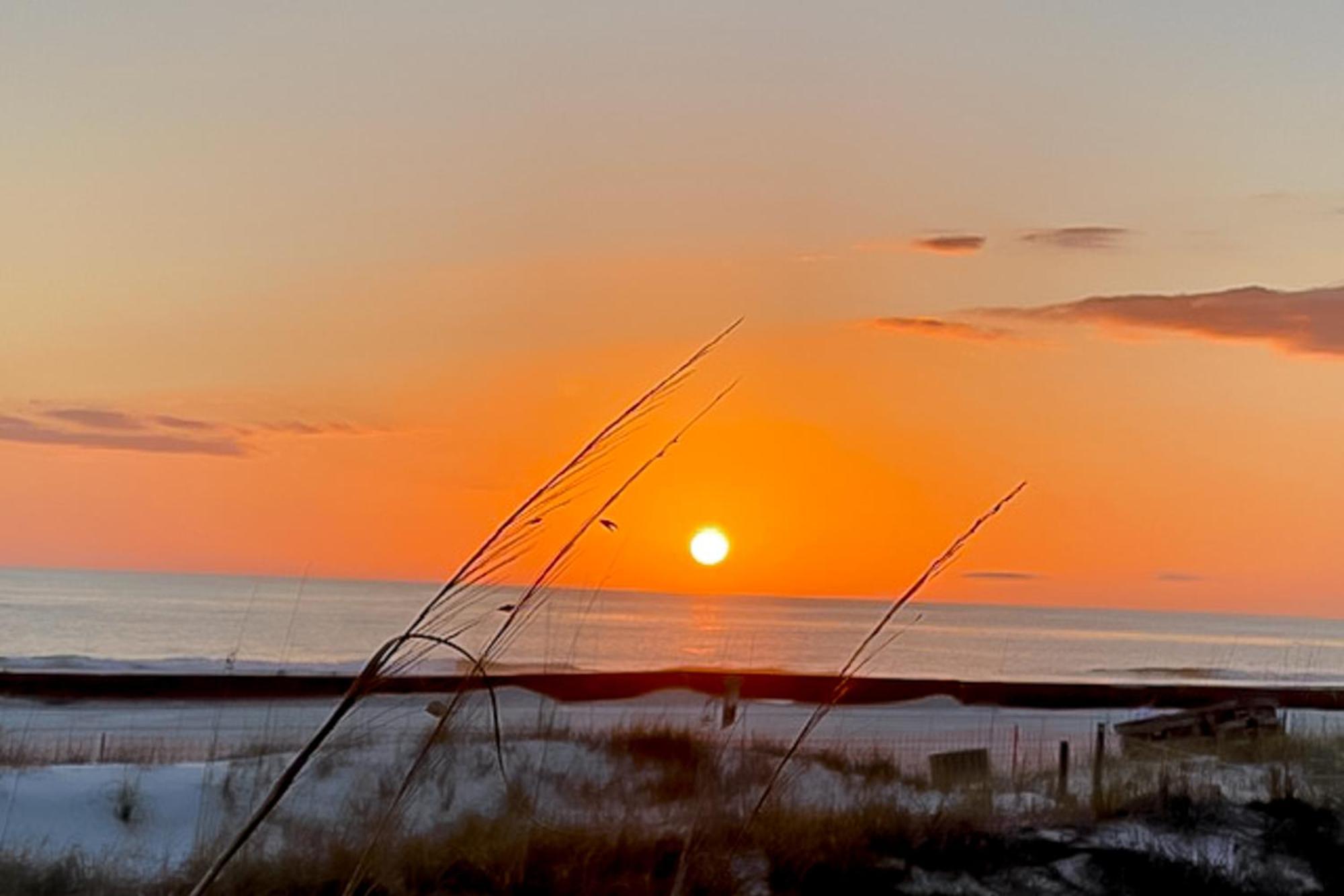Dunes Of Panama Condos Panama City Beach Phòng bức ảnh
